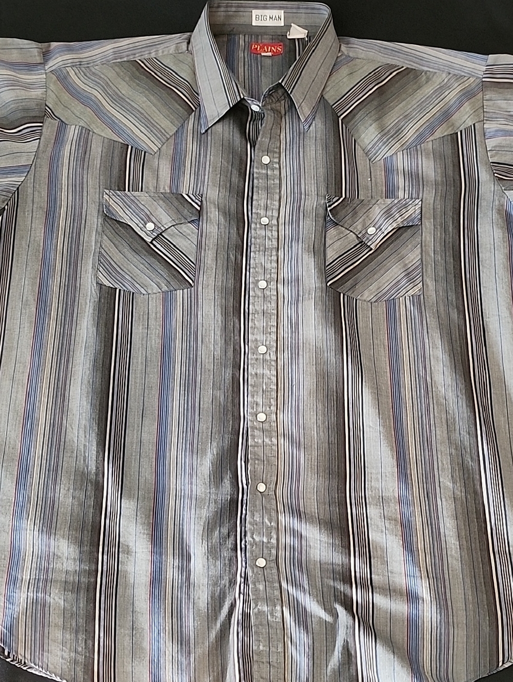Big Man Striped Button-Up Shirt - Gray/Blue